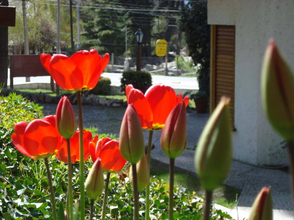 Mont Blanc Bungalows San Carlos de Bariloche Exterior foto